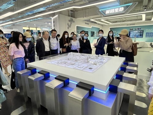 數字化成就點亮創新之路 上海市網絡文化協會參觀上海城市數字化轉型體驗館